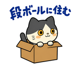 ハチワレ猫の秋・ず〜っと使えるスタンプのスタンプ 39