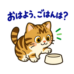キジトラ猫の食欲の秋・毎日つかえるのメイン画像