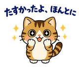 キジトラ猫の食欲の秋・毎日つかえるのスタンプ 8