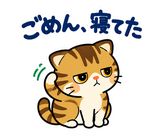キジトラ猫の食欲の秋・毎日つかえるのスタンプ 13