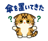 キジトラ猫の食欲の秋・毎日つかえるのスタンプ 40