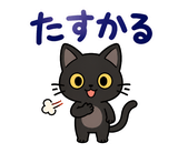 黒猫の秋・ハロウィン毎日スタンプのスタンプ 15