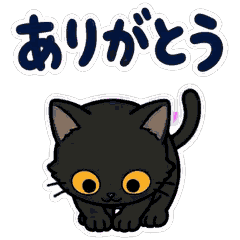 動く！黒猫の秋・ハロウィン毎日スタンプのメイン画像
