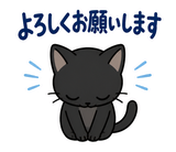ずっと使える黒猫の業務連絡【敬語】のスタンプ 4