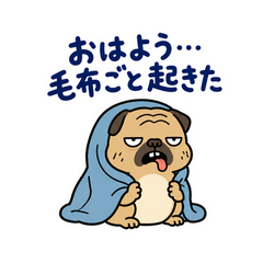 脱力パグの冬のぬくぬくのメイン画像