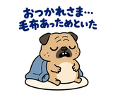 脱力パグの冬のぬくぬくのスタンプ 3