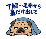 脱力パグの冬のぬくぬくのスタンプ 4