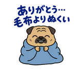 脱力パグの冬のぬくぬくのスタンプ