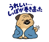 脱力パグの冬のぬくぬくのスタンプ 7