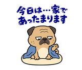 脱力パグの冬のぬくぬくのスタンプ 15