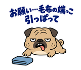 脱力パグの冬のぬくぬくのスタンプ 16