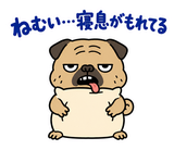 脱力パグの冬のぬくぬくのスタンプ 24