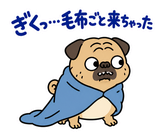 脱力パグの冬のぬくぬくのスタンプ 27