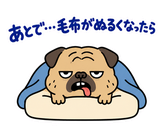 脱力パグの冬のぬくぬくのスタンプ 28