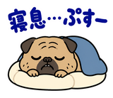 脱力パグの冬のぬくぬくのスタンプ 32