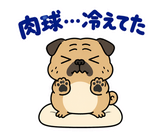 脱力パグの冬のぬくぬくのスタンプ 34