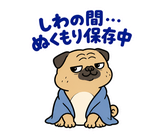 脱力パグの冬のぬくぬくのスタンプ 35