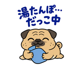 脱力パグの冬のぬくぬくのスタンプ 36