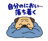脱力パグの冬のぬくぬくのスタンプ 38