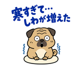 脱力パグの冬のぬくぬくのスタンプ 39