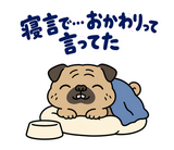脱力パグの冬のぬくぬくのスタンプ 40