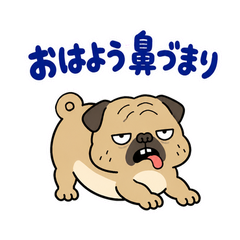 毎日つかえる鼻ぺちゃパグの返事のメイン画像