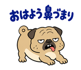 毎日つかえる鼻ぺちゃパグの返事のスタンプ