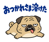 毎日つかえる鼻ぺちゃパグの返事のスタンプ