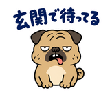 毎日つかえる鼻ぺちゃパグの返事のスタンプ 4