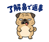 毎日つかえる鼻ぺちゃパグの返事のスタンプ 5