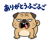 毎日つかえる鼻ぺちゃパグの返事のスタンプ 6