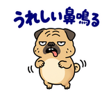 毎日つかえる鼻ぺちゃパグの返事のスタンプ 7