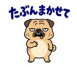 毎日つかえる鼻ぺちゃパグの返事のスタンプ 8