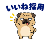 毎日つかえる鼻ぺちゃパグの返事のスタンプ 10