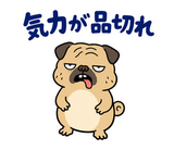 毎日つかえる鼻ぺちゃパグの返事のスタンプ 13