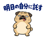 毎日つかえる鼻ぺちゃパグの返事のスタンプ 14