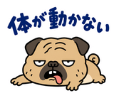 毎日つかえる鼻ぺちゃパグの返事のスタンプ 15