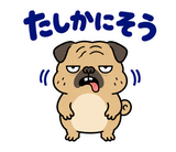 毎日つかえる鼻ぺちゃパグの返事のスタンプ 22