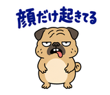 毎日つかえる鼻ぺちゃパグの返事のスタンプ 27