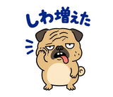 毎日つかえる鼻ぺちゃパグの返事のスタンプ 31