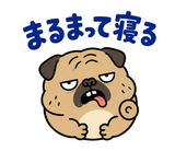 毎日つかえる鼻ぺちゃパグの返事のスタンプ 35