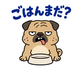 毎日つかえる鼻ぺちゃパグの返事のスタンプ 36