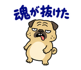 毎日つかえる鼻ぺちゃパグの返事のスタンプ 39