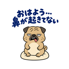 脱力パグのおつかれさまのメイン画像