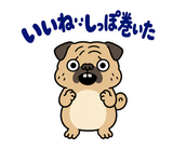 脱力パグのおつかれさまのスタンプ 10