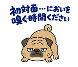 脱力パグのおつかれさまのスタンプ 14