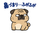 脱力パグのおつかれさまのスタンプ 31
