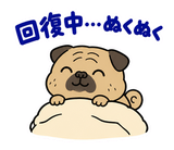 脱力パグのおつかれさまのスタンプ 37