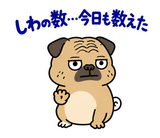 脱力パグのおつかれさまのスタンプ 39